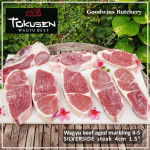 Beef SILVERSIDE Wagyu Tokusen marbling 4-5 aged whole cut FROZEN +/-7.5 kg/pc (price/kg)